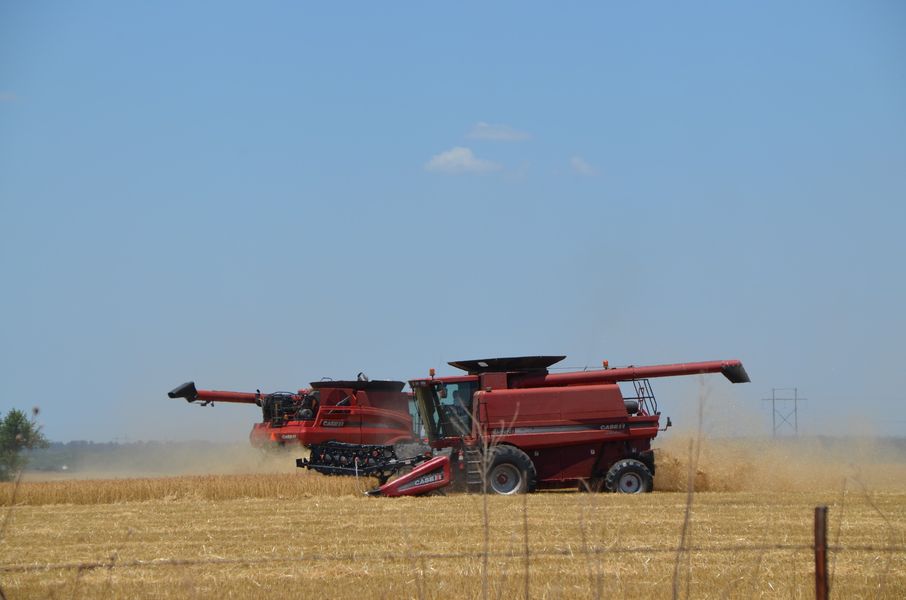 Oklahoma Wheat Harvest Progresses in Southern Oklahoma — June 5, 2023